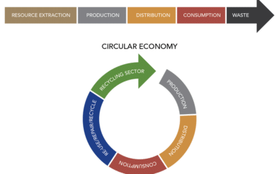 ClearView Packaging and the Circular Economy