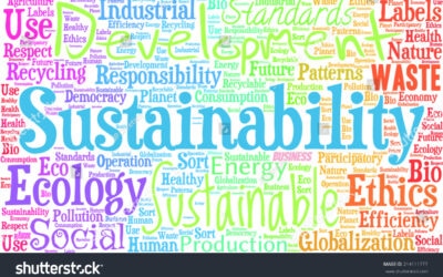 How to Find Sustainability