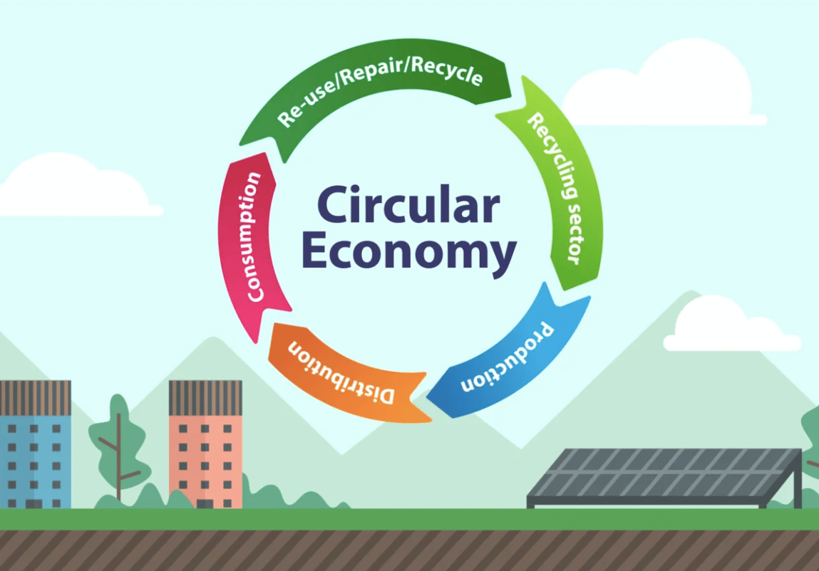 Graphic of Circular Economy breakdown.
